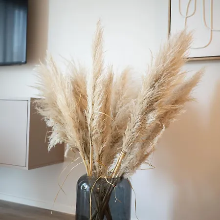 アパート Boardinghouse *