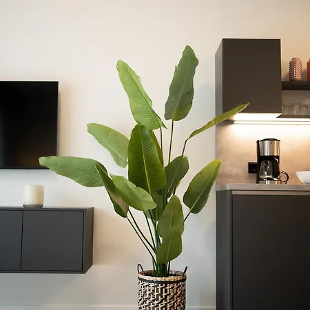 شقة Boardinghouse *