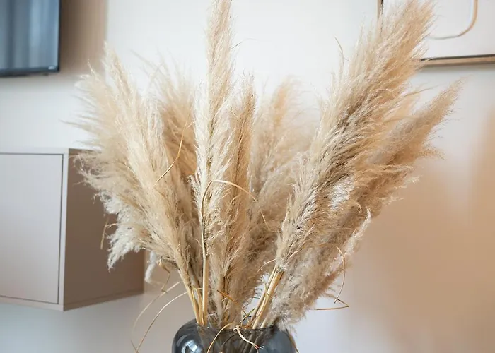 Appartement Boardinghouse *