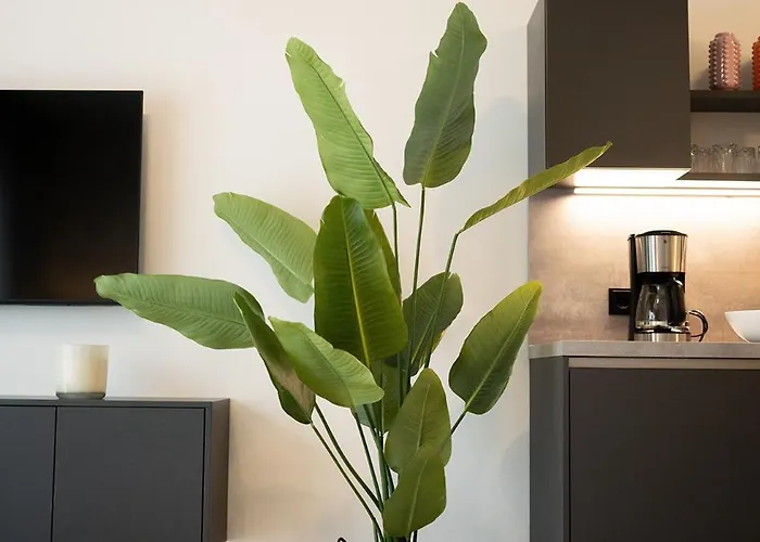 Appartement Boardinghouse *